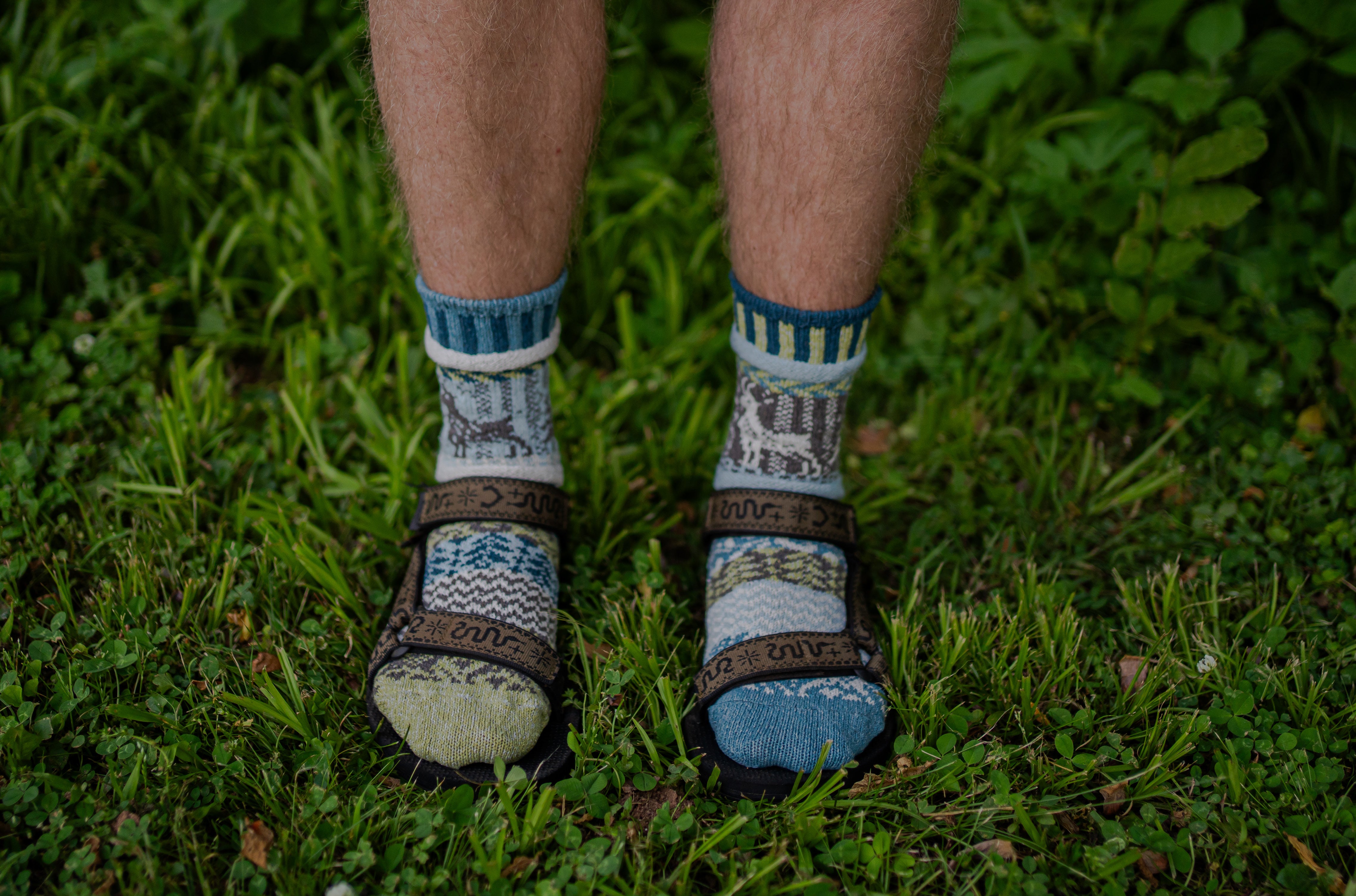 Goat Crew Socks